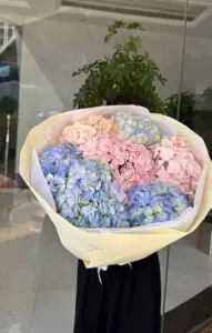 Photo of bouquet "Bouquet Of 7 Blue And Pink Hydrangeas “Azure Whisper” In Ayia Napa" — Flower delivery in Ayia Napa, photo 1 of 1