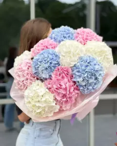 Photo of bouquet "Bouquet Hydrangeas 11 White Blue Pink “Celestial Whisper” Ayia Napa" — Flower delivery in Ayia Napa, photo 1 of 3