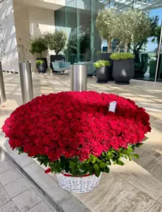 Photo of bouquet "Bouquet 501 Red Roses Basket XXL “Scarlet Reverie” Ayia Napa" — Flower delivery in Ayia Napa, photo 1 of 2