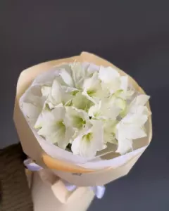 Photo of bouquet "Bouquet 13 Amaryllis in Paper Wrapping “Desert Bloom” Ayia Napa" — Flower delivery in Ayia Napa, photo 1 of 2
