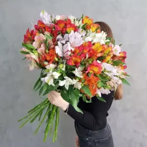 Photo of bouquet "Bouquet 61 Alstroemerias “Desert Whisper” Ayia Napa" — Flower delivery in Ayia Napa, photo 1 of 1