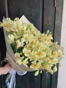Photo of bouquet "Bouquet 29 Alstroemerias in Paper Wrapping “Silent Reverie” Ayia Napa" — Flower delivery in Ayia Napa, photo 1 of 1