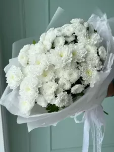 Photo of bouquet "Bouquet 31 White Chrysanthemums “Desert Whisper” Ayia Napa" — Flower delivery in Ayia Napa, photo 1 of 1