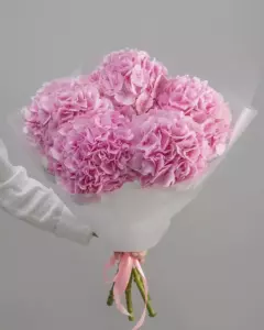 Photo of bouquet "Bouquet 5 Pink Hydrangeas Paper Wrapping “Blush Reverie” Ayia Napa" — Flower delivery in Ayia Napa, photo 1 of 1