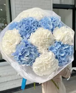 Photo of bouquet "Bouquet White 5 Blue 4 Hydrangeas “Azure Whisper” Ayia Napa" — Flower delivery in Ayia Napa, photo 1 of 1