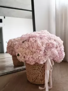 Photo of bouquet "Bouquet 55 Pink Hydrangeas Basket XXL “Blush Cascade” Ayia Napa" — Flower delivery in Ayia Napa, photo 1 of 2