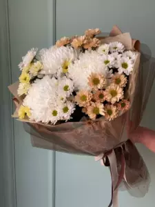 Photo of bouquet "Arrangement Chrysanthemum Chamomile 12 Pompom 3 Paper Wrapping “Desert Whisper” Ayia Napa" — Flower delivery in Ayia Napa, photo 1 of 1