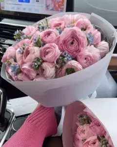 Photo of bouquet "Bouquet 25 Pink Ranunculus “Blush Reverie” Ayia Napa" — Flower delivery in Ayia Napa, photo 1 of 1