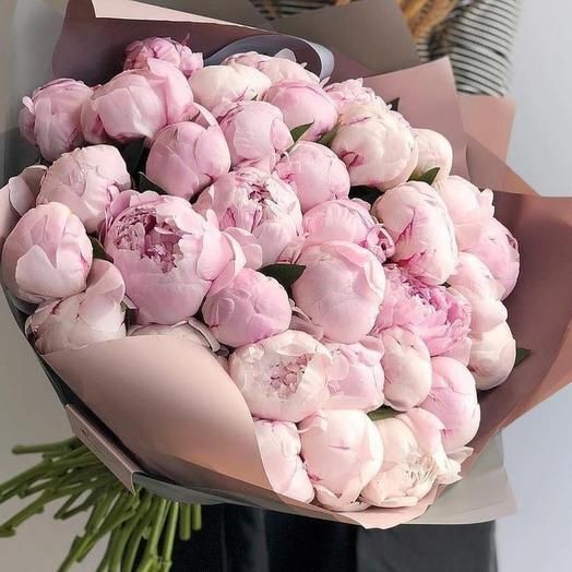 Bouquet Of 151 Pink Peony Roses Miranda “Blush Reverie” Ayia Napa