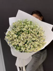 Photo of bouquet "Bouquet 35 White Daisies Paper Wrapping “Sunlit Whispers” Bali" — Bali - Flowers Delivery Flowers Place, photo 1 of 1