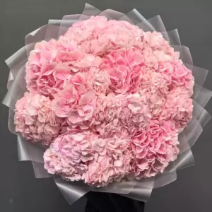 Photo of bouquet "Bouquet 17 Pink Hydrangeas Blush Reverie Bali" — Bali - Flowers Delivery Flowers Place, photo 1 of 2