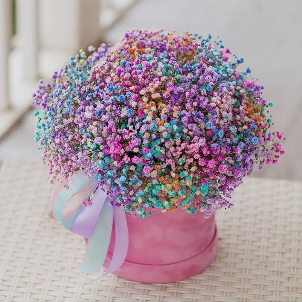 Bouquet 15 Pink Peony Roses Miranda “Silent Aurora” Bali