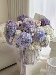 Photo of bouquet "Bouquet Hydrangeas 23 Peonies 15 Roses 16 “Moonlit Reverie” Bangkok" — Bangkok - Flowers Delivery Flowers Place, photo 1 of 1