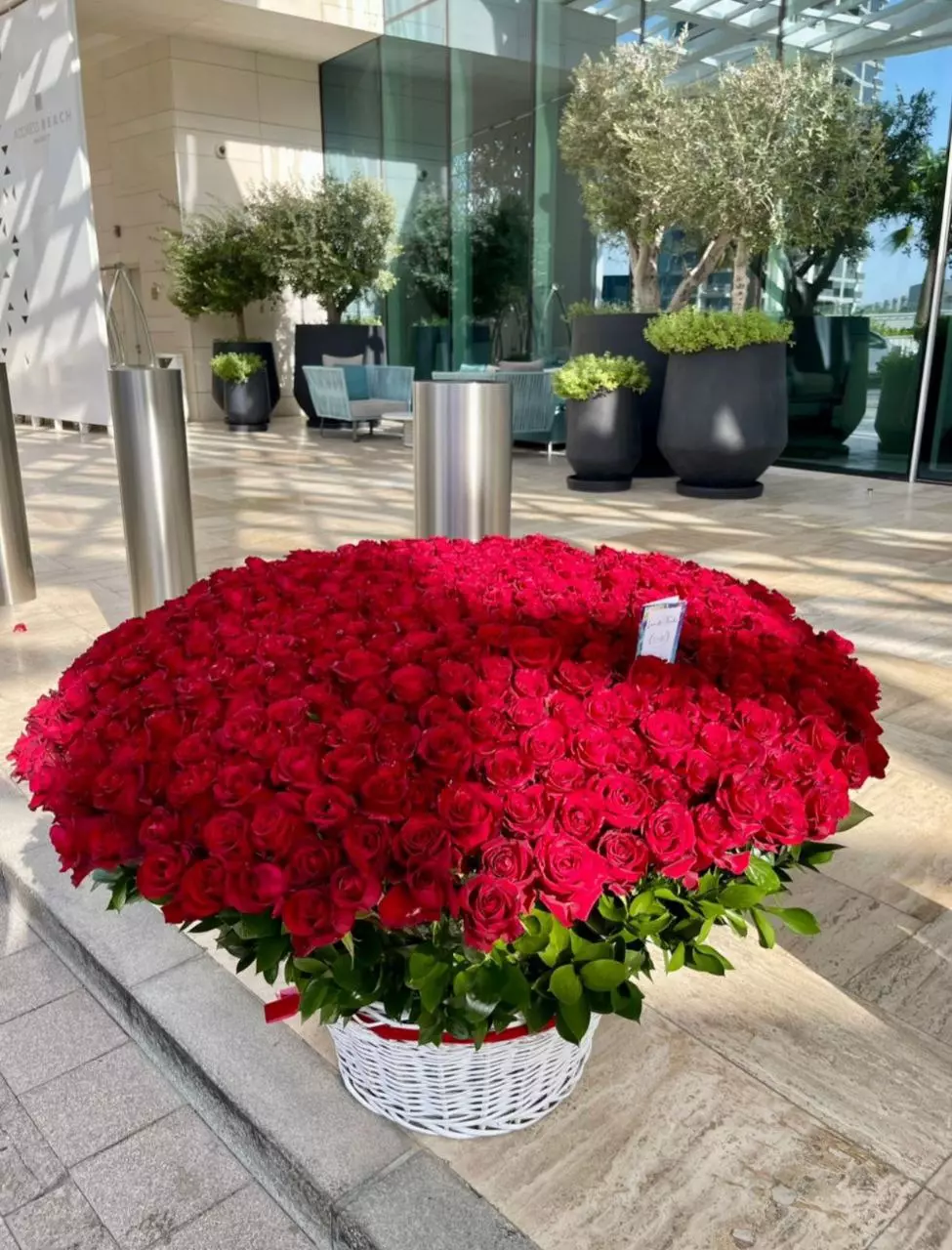 Order bouquet Bouquet 501 Red Roses Basket XXL “Scarlet Reverie” Dubai with 503 flowers for 4,100 AED, 5,780 AED, 8,010 AED — photo 1 of 3