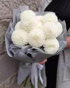 Photo of bouquet "Bouquet 11 White Dahlias Silk Ribbon “Silent Radiance” Bangkok" — Bangkok - Flowers Delivery Flowers Place, photo 1 of 1