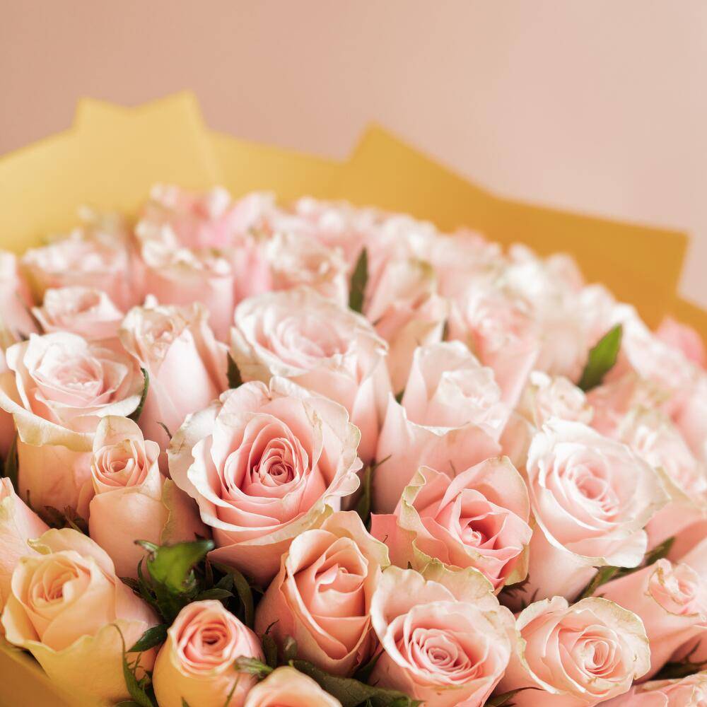 Bouquet 13 Soft Peach Peony Roses Paper Wrap “Silent Ember” Bangkok
