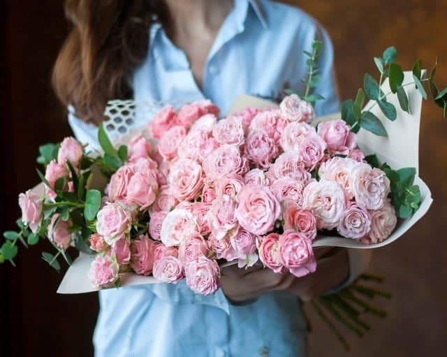 Bouquet 5 Pink French Roses Paper Wrap “Blush Murmurs” Bangkok