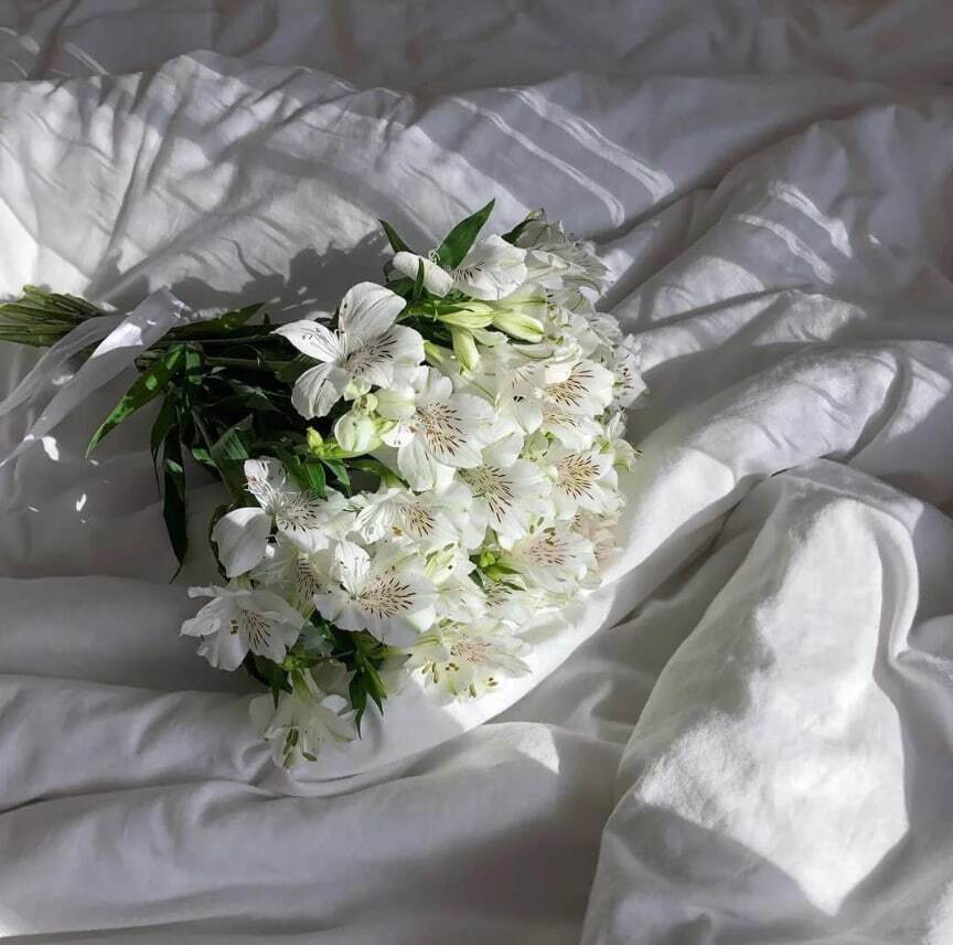 Bouquet 3 White Roses Paper Wrapping “Silent Whispers” Bangkok