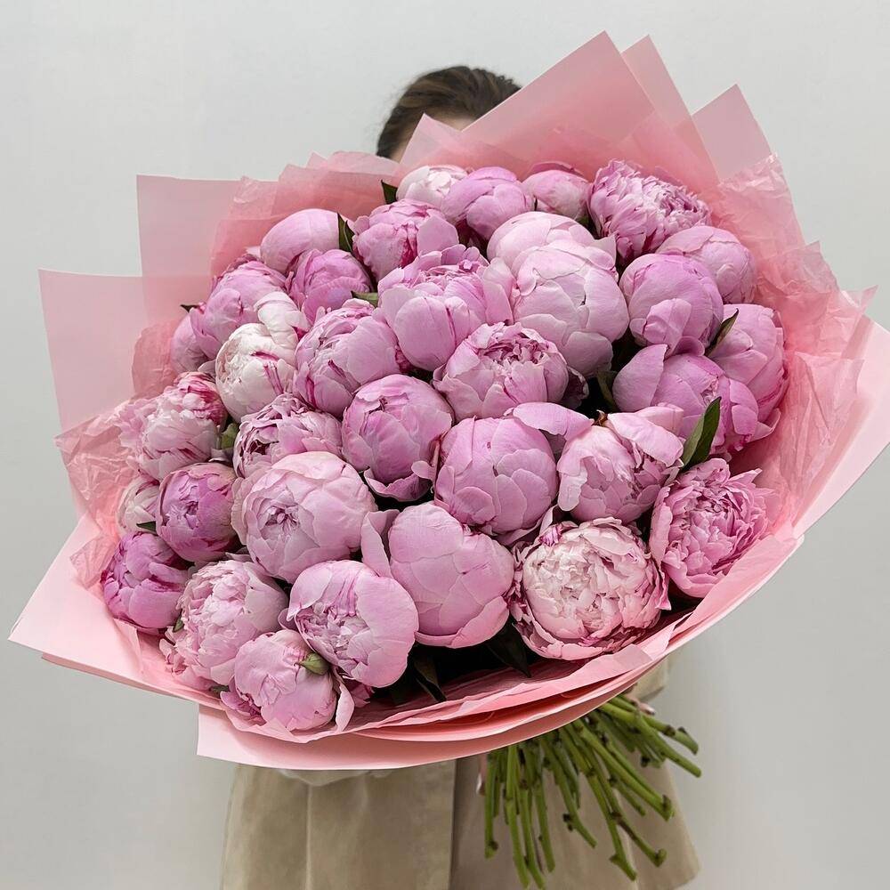 Bouquet 17 Pink Spray Roses “Blush Whisper” Belgrade
