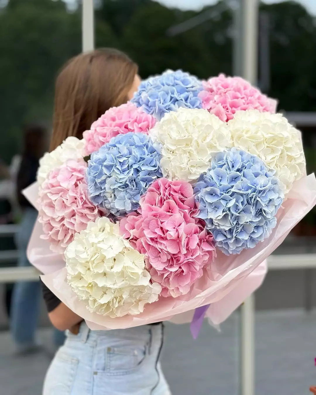 Bouquet Hydrangeas 11 White Blue Pink “Celestial Whisper” Da Nang