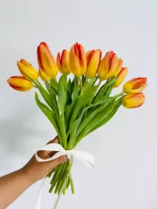 Photo of bouquet "Bouquet 15 Tulips "Silent Reverie" Da Nang" — Flower Delivery in Da Nang | Flowers Place, photo 1 of 1