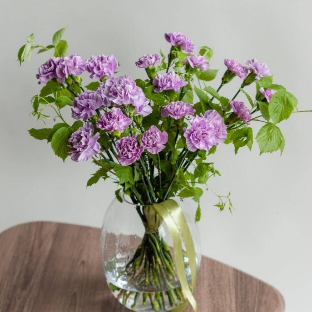 Bouquet 21 Matthiola in Paper Wrapping “Silent Whispers” Da Nang