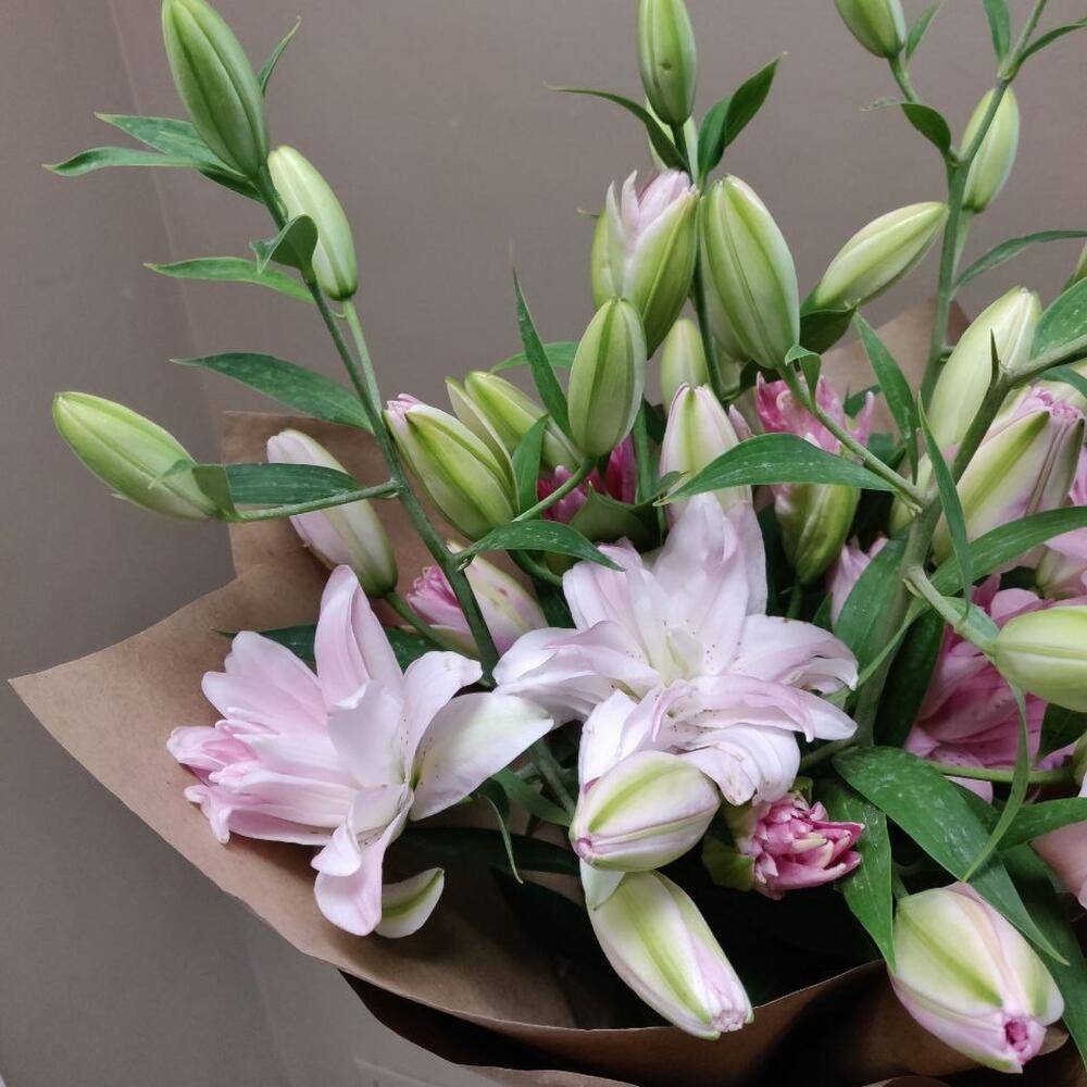 Arrangement Hydrangea 5 Chrysanthemum 10 Dianthus 7 “Whispering Breeze” in Doha