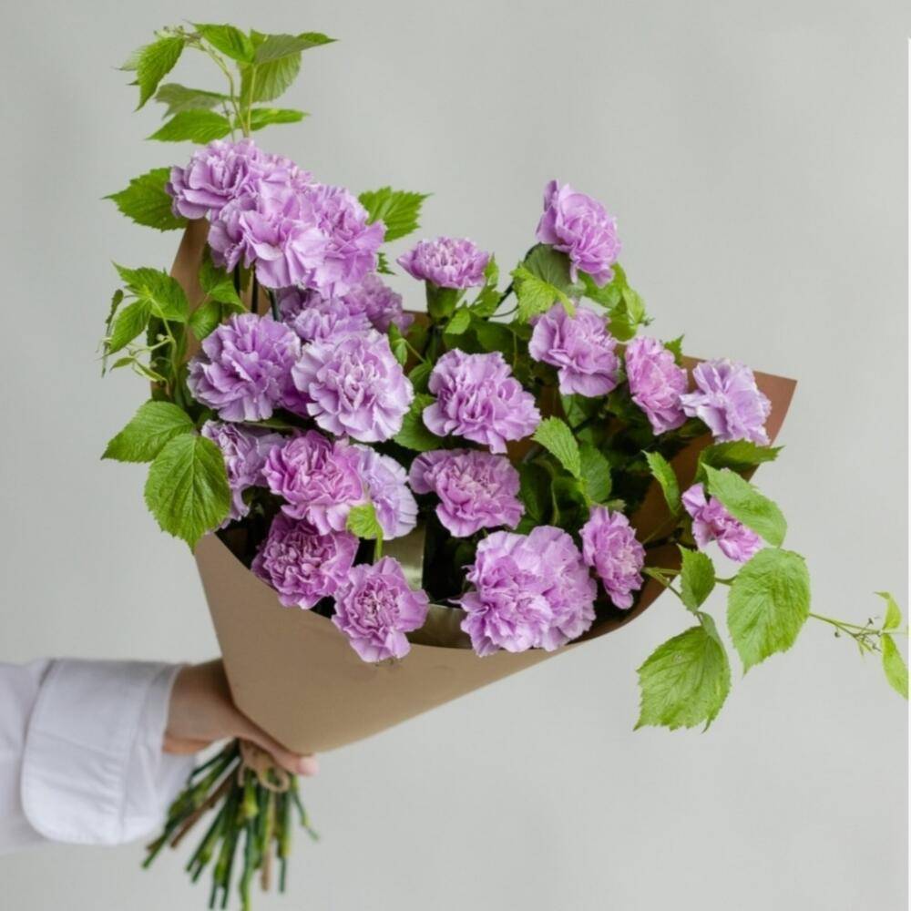 Arrangement Hydrangea 2 Peony Rose 4 Dianthus 6 “Whispered Reverie” Doha
