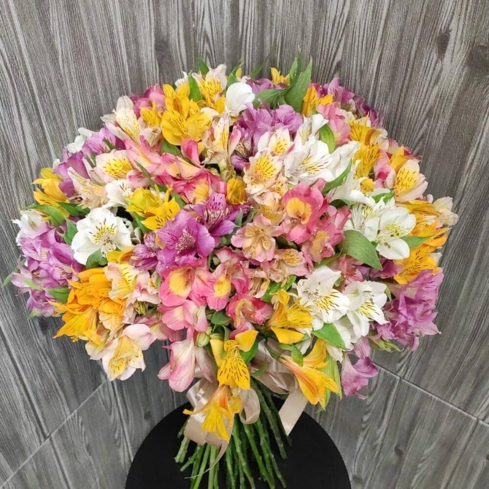 Bouquet 35 Cream Pink Peonies 7 Chamomiles 10 White Eustomas “Desert Reverie” Doha