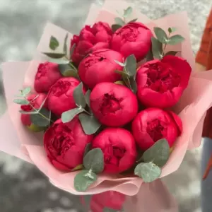 Photo of bouquet "Bouquet 11 Red Peonies “Scarlet Whisper” in Dubai" — Dubai - Flowers Delivery Flowers Place, photo 1 of 1