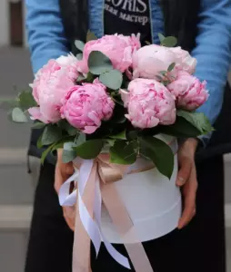 Photo of bouquet "Bouquet 11 Pink Peonies in Paper Wrapping “Blush Whisper” Dubai" — Dubai - Flowers Delivery Flowers Place, photo 1 of 1