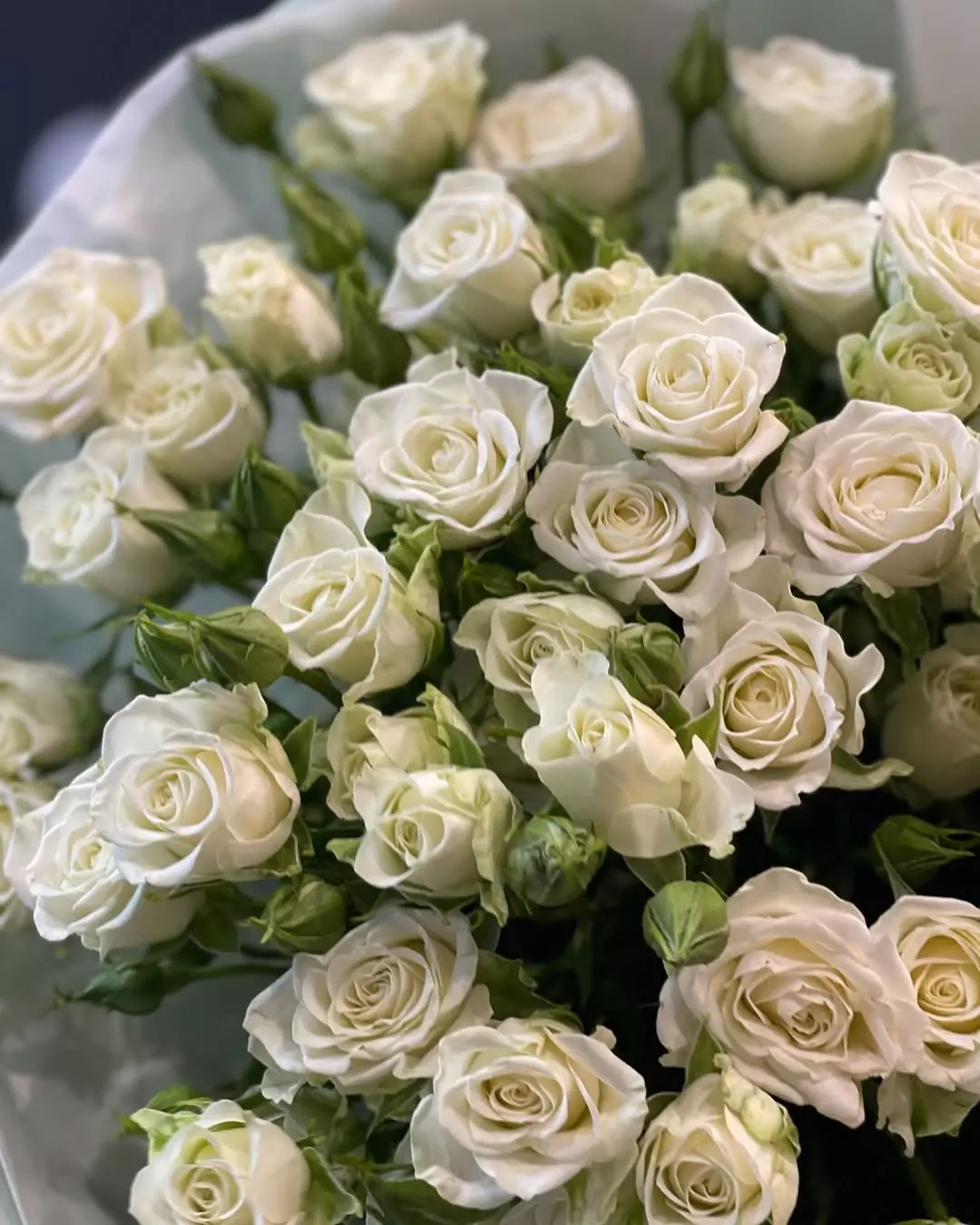 Bouquet photo 3: Affordable bouquets — Flowers Place Istanbul