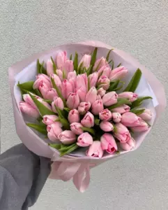 Photo of bouquet "Bouquet 89 Tulips Paper Wrapping “Desert Whisper” Dubai" — Dubai - Flowers Delivery Flowers Place, photo 1 of 1