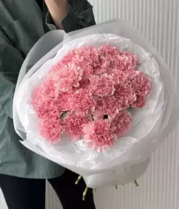 Photo of bouquet "Bouquet 31 Dianthus in Paper Wrapping “Silent Reverie” Dubai" — Dubai - Flowers Delivery Flowers Place, photo 1 of 1