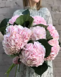 Photo of bouquet "Bouquet 7 Pink Hydrangeas English Garden “Whispering Petals” Dubai" — Dubai - Flowers Delivery Flowers Place, photo 1 of 1