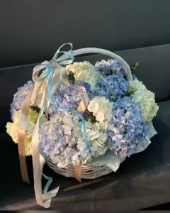Photo of bouquet "Bouquet White 7 Blue 6 Hydrangeas in Organza Basket “Silent Reverie” Dubai" — Dubai - Flowers Delivery Flowers Place, photo 1 of 1