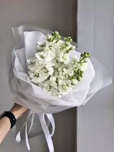 Photo of bouquet "Bouquet 6 Matthiola in Paper Wrapping “Silent Reverie” Dubai" — Dubai - Flowers Delivery Flowers Place, photo 1 of 1