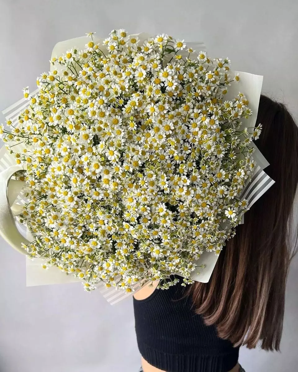Bouquet photo: Daisies — Flowers Place Dubai