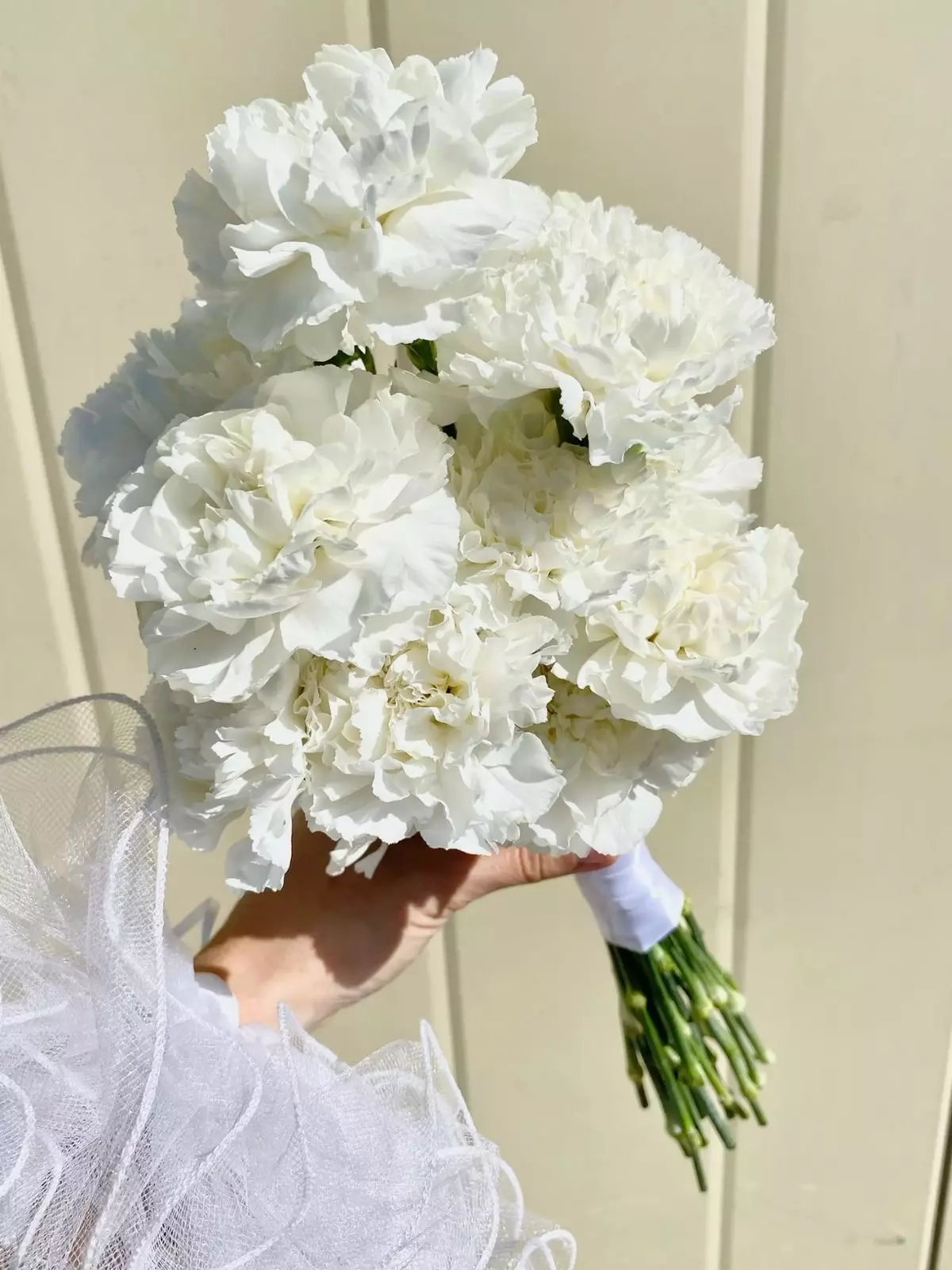 Order bouquet Bouquet 13 Pink Dianthus Whispering Petals Bali “Silent Bloom” Bali with 13 flowers for 50 $, 70 $, 100 $ — photo 1 of 1