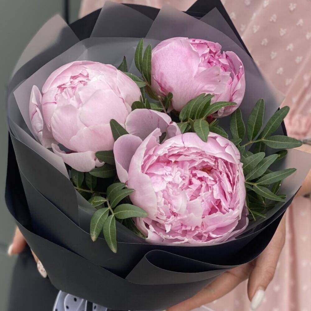 Bouquet 13 White Roses Paper Wrap “Silent Whisper” Larnaca