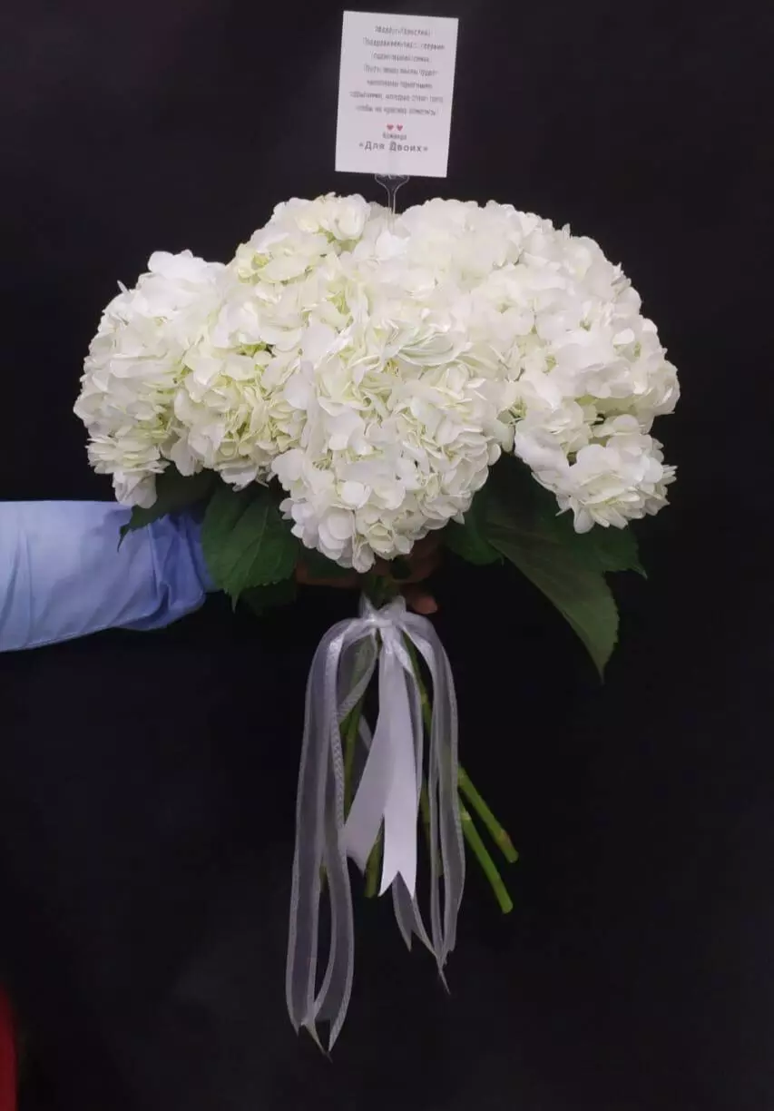 Order bouquet Bouquet 9 White Hydrangeas “Silent Reverie” Bali with 10 flowers for 190 $, 270 $, 380 $ — photo 1 of 1