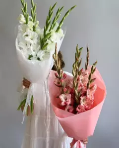 Photo of bouquet "Bouquet 5 White Gladiolus in Paper Wrapping “Whispered Veil” Phuket" — Phuket - Flowers Delivery Flowers Place, photo 1 of 1