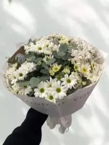 Photo of bouquet "Bouquet 31 Chrysanthemums Chamomile Bushes Paper Wrapping “Sunlit Whispers” Phuket" — Phuket - Flowers Delivery Flowers Place, photo 1 of 1