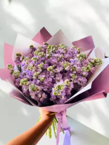 Photo of bouquet "Bouquet 21 Matthiola Paper Wrap “Whispered Twilight” Phuket" — Phuket - Flowers Delivery Flowers Place, photo 1 of 2