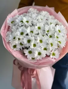 Photo of bouquet "Bouquet 15 White Chrysanthemums Paper Wrap “Silent Dawn” Phuket" — Phuket - Flowers Delivery Flowers Place, photo 1 of 1