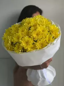 Photo of bouquet "Bouquet 13 White Chrysanthemums Paper Wrapping “Silent Whispers” Phuket" — Phuket - Flowers Delivery Flowers Place, photo 1 of 1