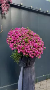 Photo of bouquet "Bouquet 151 Pink Peony Roses Coral Murmurs Phuket" — Phuket - Flowers Delivery Flowers Place, photo 1 of 1