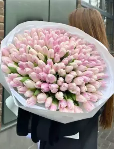 Photo of bouquet "Bouquet 201 White Tulips “Moonlit Murmurs” Phuket" — Phuket - Flowers Delivery Flowers Place, photo 1 of 1