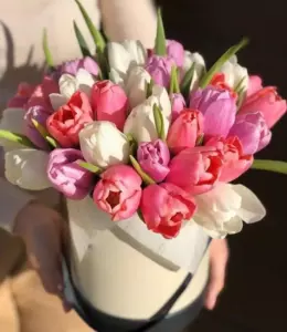 Photo of bouquet "Bouquet 45 Pink Tulips in Box “Whispered Bloom” Phuket" — Phuket - Flowers Delivery Flowers Place, photo 1 of 1