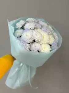Photo of bouquet "Bouquet 15 White Chrysanthemums in Paper Wrapping “Veil of Silence” Phuket" — Phuket - Flowers Delivery Flowers Place, photo 1 of 1